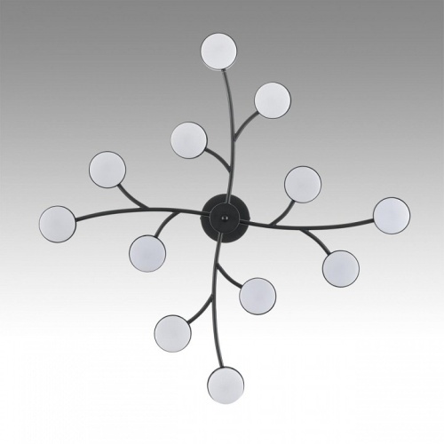 Люстра на штанге Lumion Torina 8117/12 в Нижнем Новгороде фото 7