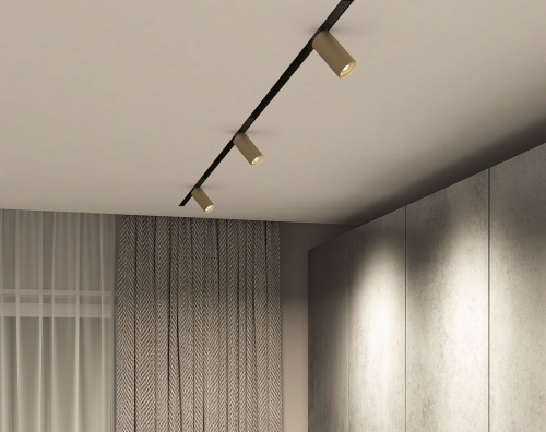 Светильник на штанге Denkirs Smart DK8010-BG в Нижнем Новгороде фото 6