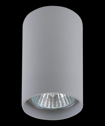 Накладной светильник Lightstar Rullo 214439 в Чайковском фото 3