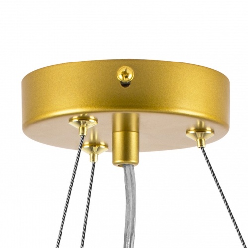 Подвесная люстра Lightstar Globo 799063 в Нижнем Новгороде фото 2