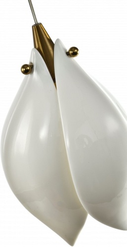 Подвесной светильник Zortes Dalin ZRS.90609.01 в Нижнем Новгороде фото 2