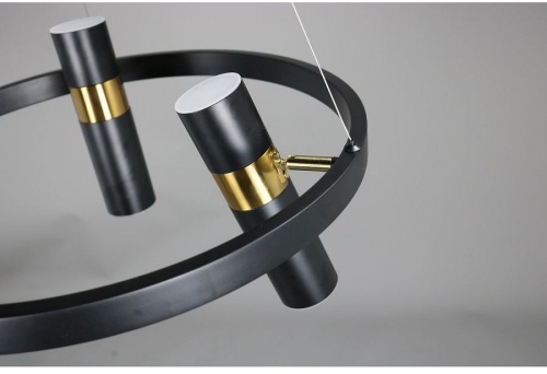 Подвесная люстра Zortes Tweeny ZRS.1828.50 в Нижнем Новгороде фото 3