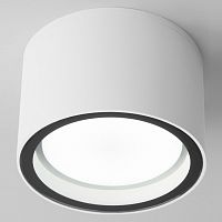 Накладной светильник Elektrostandard Light a057867 в Нижнем Новгороде