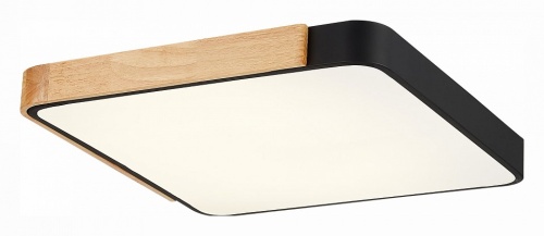 Накладной светильник EVOLUCE Festa SLE201242-01 в Нижнем Новгороде фото 3