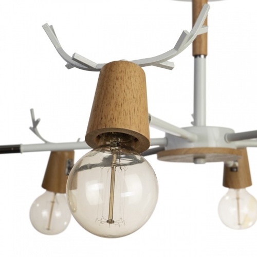 Люстра на штанге Loft it Sven 10024/6 Black в Нижнем Новгороде фото 2