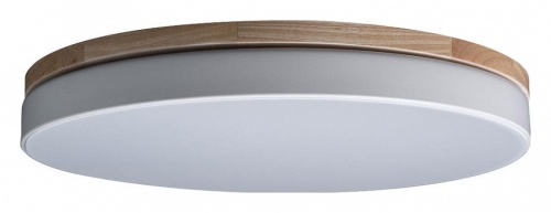 Накладной светильник Loft it Axel 10001/36 White в Саратове