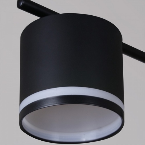 Потолочная люстра 22008 22008-0.3-10 GX53 в Нижнем Новгороде фото 3