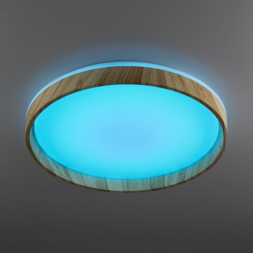Накладной светильник Citilux ENZO CL753452G в Тюмени фото 8