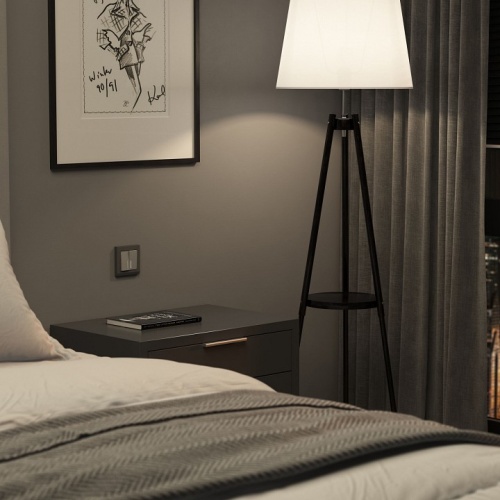 Выключатель двухклавишный с подсветкой без рамки Werkel серебряный матовый W1120165 в Нижнем Новгороде фото 3