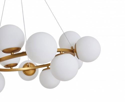 Подвесная люстра Zortes Blume ZRS.1895.04 в Нижнем Новгороде фото 6