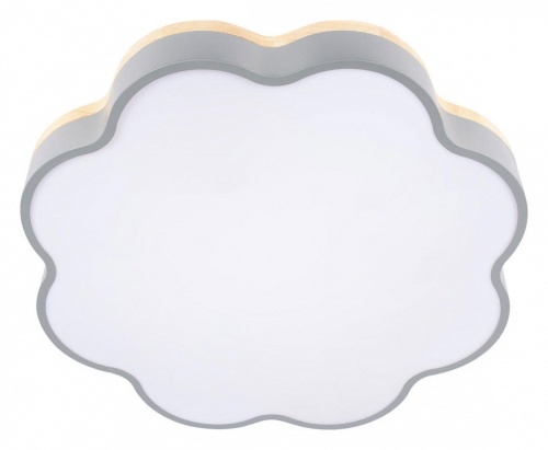 Накладной светильник Loft it Axel 10225/36 Grey в Нижнем Новгороде фото 6