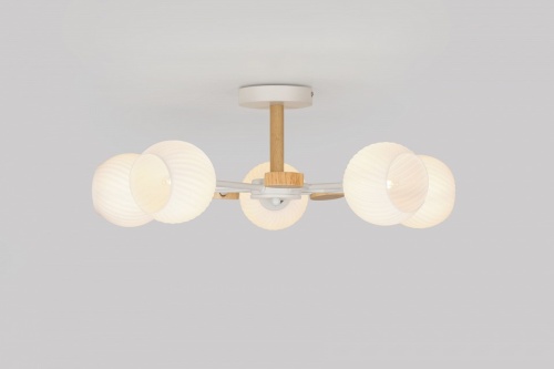 Люстра на штанге Rivoli Chiara Б0068452 в Нижнем Новгороде фото 7