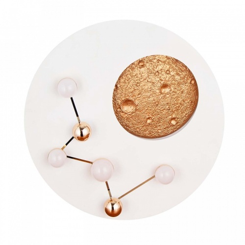 Потолочная люстра Favourite Plaides 4630-5C в Нижнем Новгороде фото 5