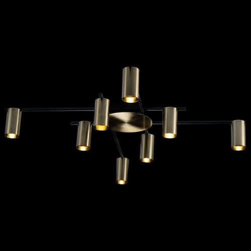 Потолочная люстра Loft it Tribes 8120C-8 в Нижнем Новгороде фото 4