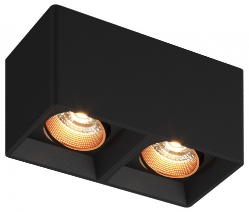 Накладной светильник Denkirs DK3030 DK3085-BK+BR в Нижнем Новгороде фото 3