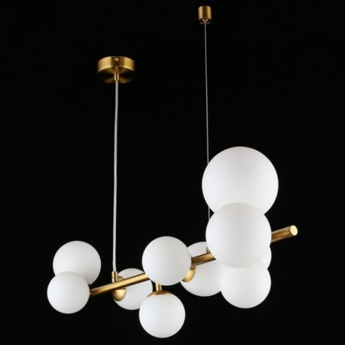 Подвесной светильник Aployt Letizia APL.314.03.10 в Нижнем Новгороде фото 16