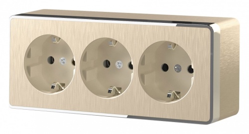 Розетка влагозащищенная с заземлением и со шторками Werkel Gallant (шампань рифленый) W5073110 в Нижнем Новгороде