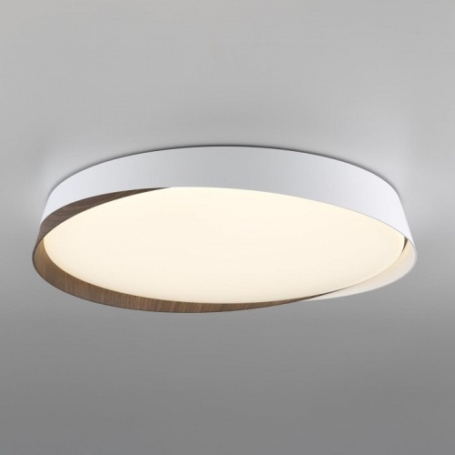 Накладной светильник Citilux BONNY CL754450G в Нижнем Новгороде фото 3