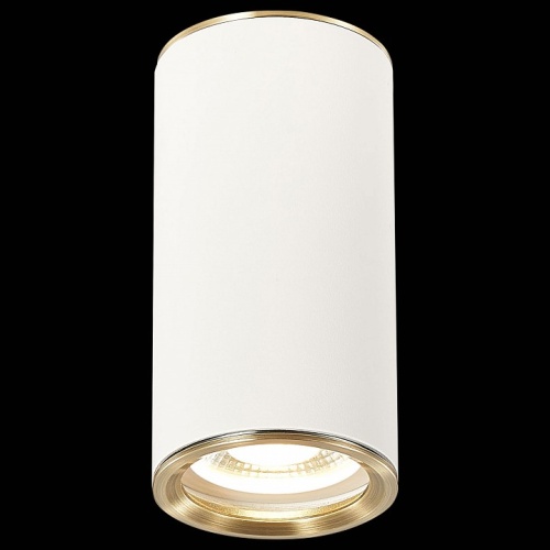 Накладной светильник ST-Luce Chomus ST111.537.01 в Нижнем Новгороде фото 3