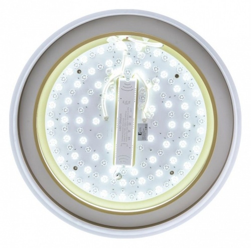 Накладной светильник Zortes Adel ZRS.1200.01 в Нижнем Новгороде фото 4