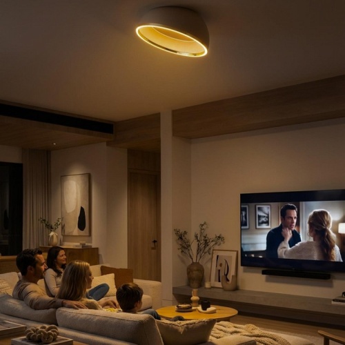 Накладной светильник Citilux FLOOM CL736152 в Нижнем Новгороде фото 6