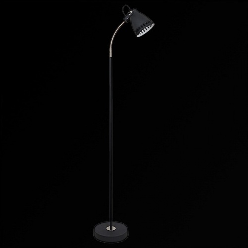 Торшер 03093-0.6-01 BK в Нижнем Новгороде фото 6