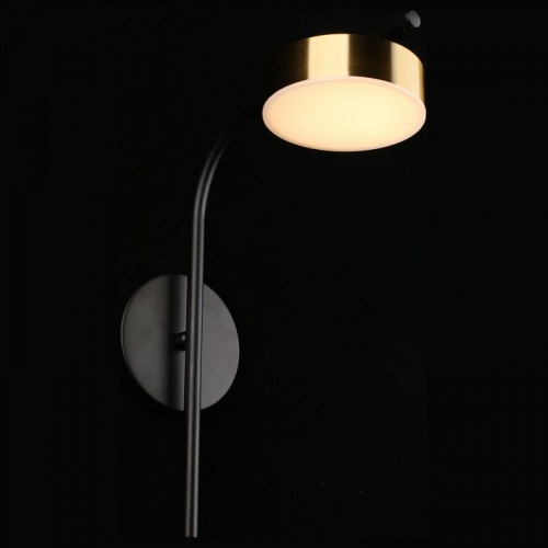 Бра Aployt Delayn APL.042.01.07 в Нижнем Новгороде фото 7