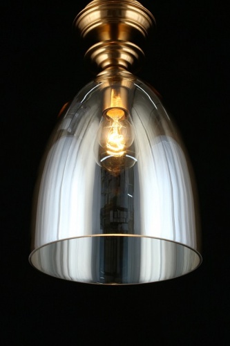 Подвесной светильник Aployt Rena APL.602.06.01 в Симе фото 10