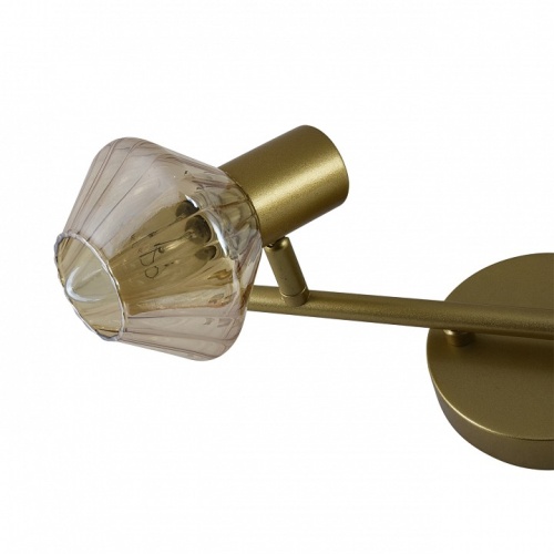 Спот Escada Gerda 674/2A в Нижнем Новгороде фото 2