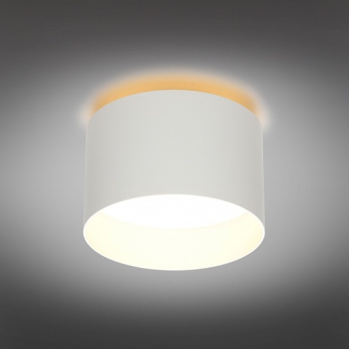 Накладной светильник Omnilux Stezzano OML-100419-16 в Нижнем Новгороде фото 7