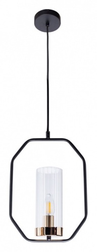 Подвесной светильник Arte Lamp Celaeno A7004SP-1BK в Бородино фото 3