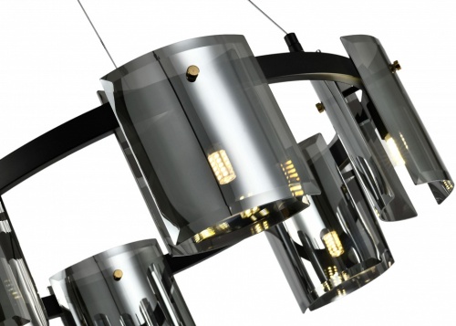 Подвесная люстра Zortes Rony ZRS.1209.06 в Нижнем Новгороде фото 2