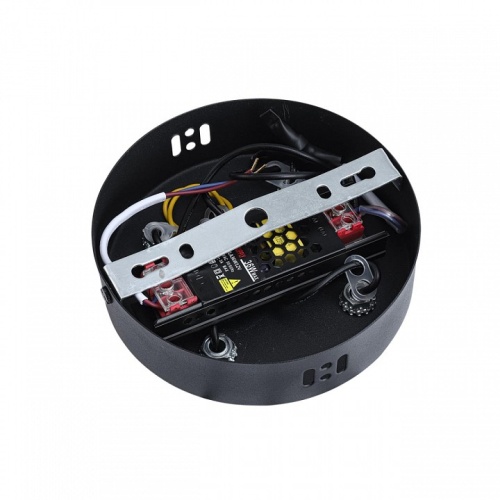 Подвесной светильник Lumion LEDIO 8341/54L в Нижнем Новгороде фото 2