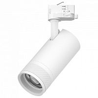 Светильник на штанге Lightstar Canno Pro C4306QT в Нижнем Новгороде