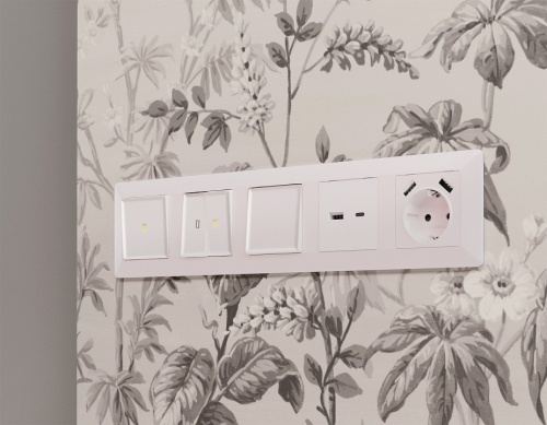 Накладка для розетки type A и C Ambrella Volt ALFA AP2110 в Нижнем Новгороде фото 2