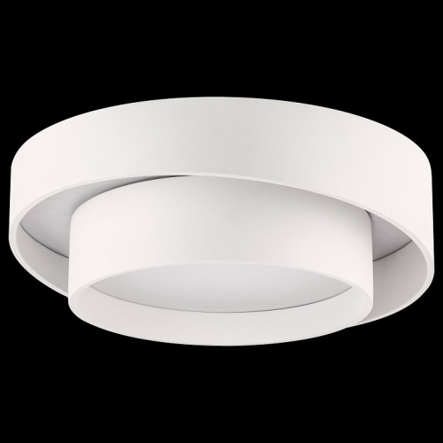 Накладной светильник Lightstar Celesta 809416 в Нижнем Новгороде фото 2