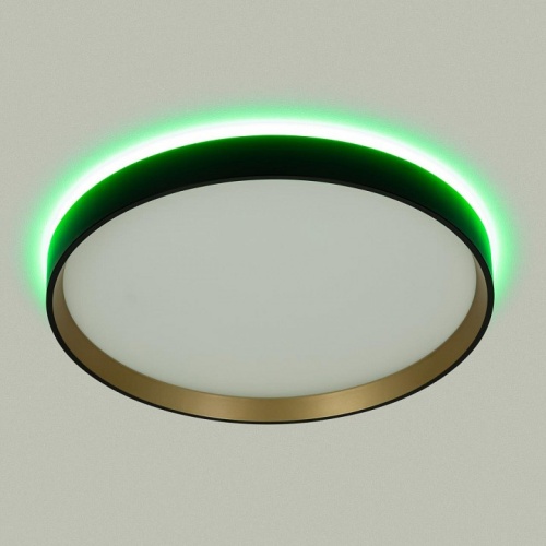 Накладной светильник Citilux ETALON CL750321R в Нижнем Новгороде фото 11