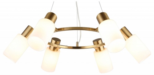 Подвесная люстра Omnilux Ales OML-69103-06 в Нижнем Новгороде
