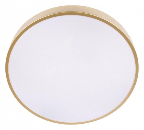 Накладной светильник Loft it Flims 10228/A в Нижнем Новгороде фото 6