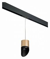 Подвесной светильник Lightstar Rullo PRORP349087 в Нижнем Новгороде