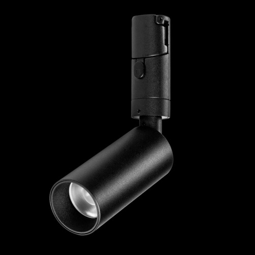 Светильник на штанге Lightstar DUE 207137 в Нижнем Новгороде фото 7