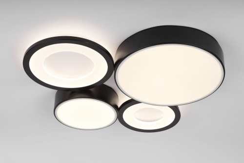 Потолочная люстра Rivoli Aliona Б0066451 в Нижнем Новгороде фото 7