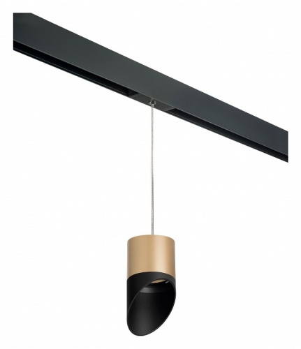 Подвесной светильник Lightstar Rullo PRORP349087 в Нижнем Новгороде