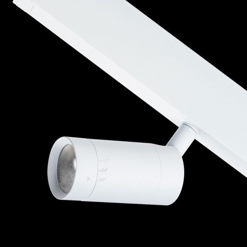 Светильник на штанге Lightstar Teta 205016 в Нижнем Новгороде фото 4