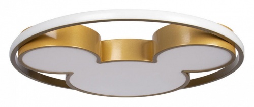 Накладной светильник Loft it Mike 10168 в Нижнем Новгороде фото 4