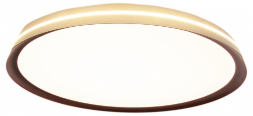 Накладной светильник Mizi`en Titan MZ31502-640 в Нижнем Новгороде фото 3