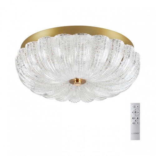 Накладной светильник Sonex Tesoro 7719/36L в Нижнем Новгороде фото 8