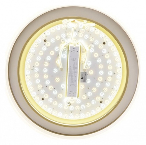 Накладной светильник Zortes Adel ZRS.1200.01 в Нижнем Новгороде фото 7