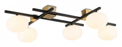 Потолочная люстра Ambrella Light LH LH51015 в Нижнем Новгороде