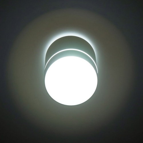 Накладной светильник Citilux Борн CL745010N в Петровске-Забайкальском фото 4